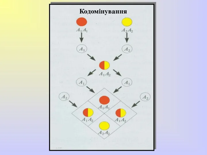 Кодомінування