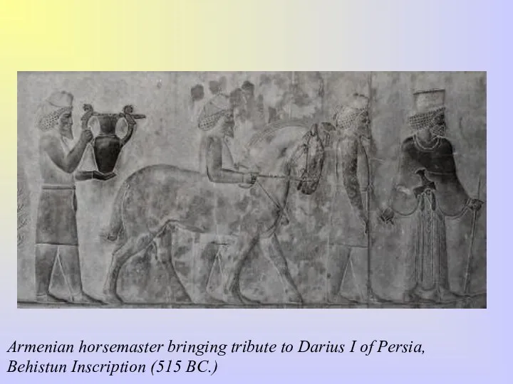Armenian horsemaster bringing tribute to Darius I of Persia, Behistun Inscription (515 BC.)