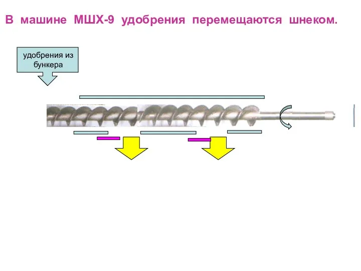 В машине МШХ-9 удобрения перемещаются шнеком.