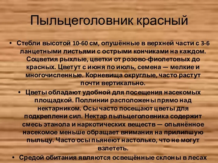 Пыльцеголовник красный Стебли высотой 10-60 см, опушённые в верхней части с