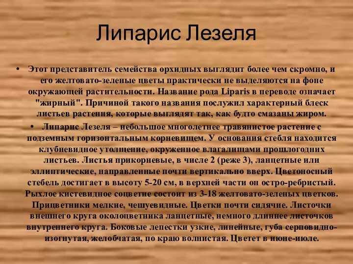 Липарис Лезеля Этот представитель семейства орхидных выглядит более чем скромно, и