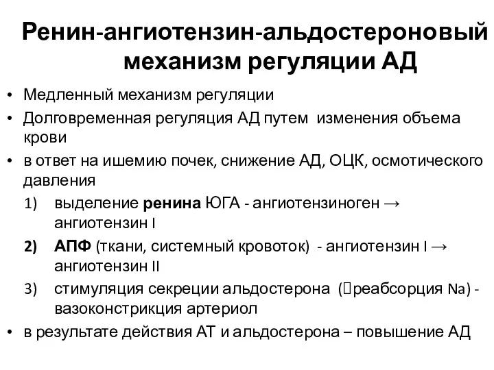 Ренин-ангиотензин-альдостероновый механизм регуляции АД Медленный механизм регуляции Долговременная регуляция АД путем