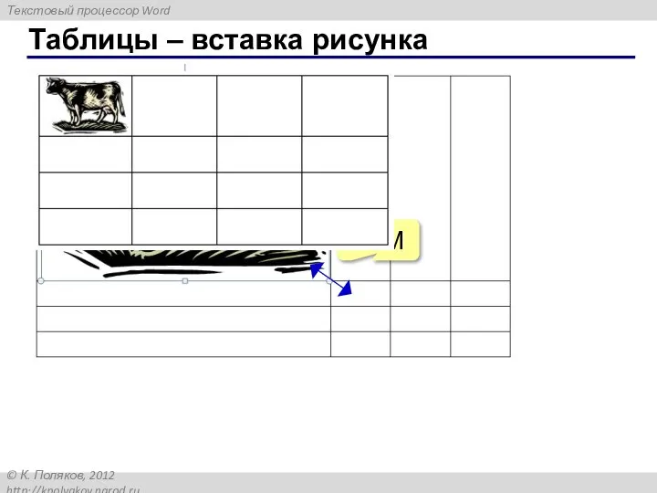 Таблицы – вставка рисунка ЛКМ