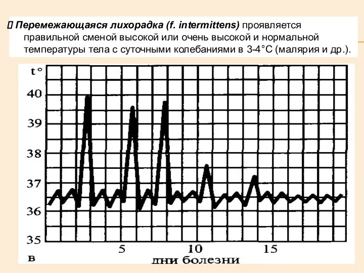 Перемежающаяся лихорадка (f. intermittens) проявляется правильной сменой высокой или очень высокой