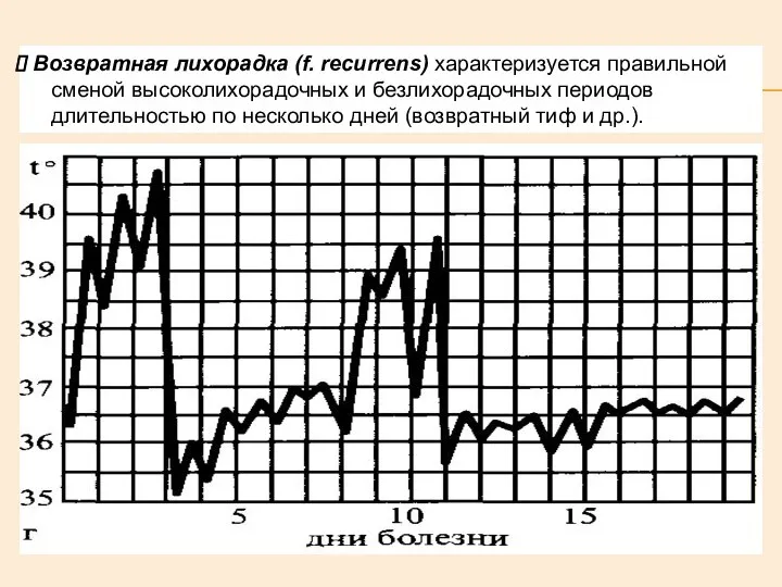 Возвратная лихорадка (f. recurrens) характеризуется правильной сменой высоколихорадочных и безлихорадочных периодов