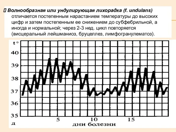 Волнообразная или ундулирующая лихорадка (f. undulans) отличается постепенным нарастанием температуры до