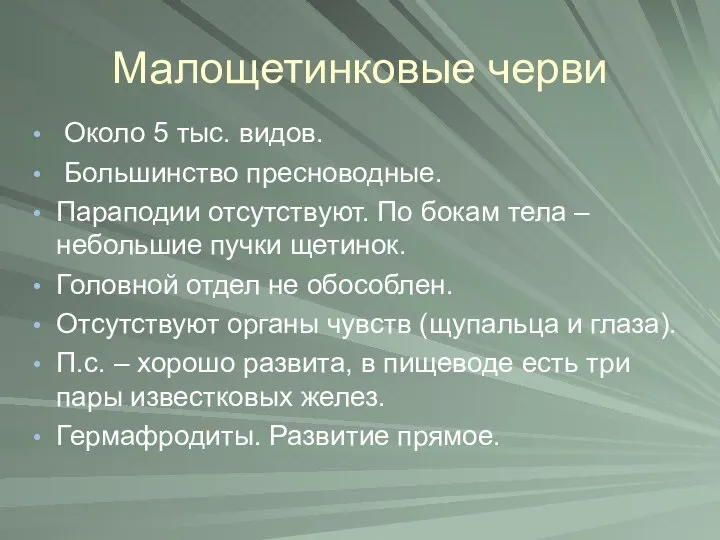 Малощетинковые черви Около 5 тыс. видов. Большинство пресноводные. Параподии отсутствуют. По