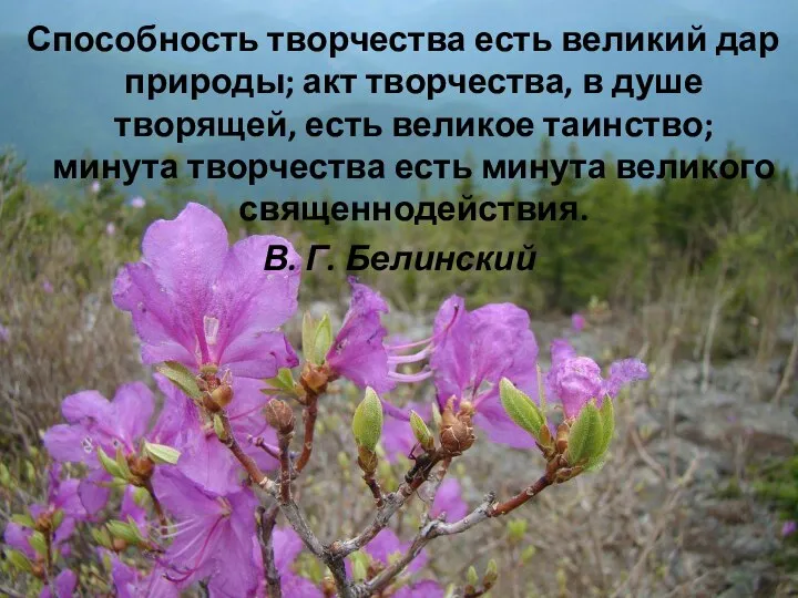 Способность творчества есть великий дар природы; акт творчества, в душе творящей,