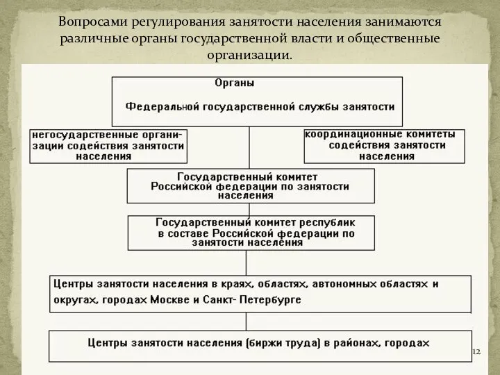 Вопросами регулирования занятости населения занимаются различные органы государственной власти и общественные организации.