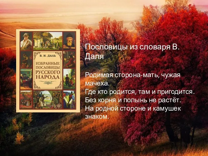 п Пословицы из словаря В. Даля Родимая сторона-мать, чужая мачеха. Где