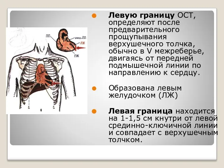 Левую границу ОСТ, определяют после предварительного прощупывания верхушечного толчка, обычно в