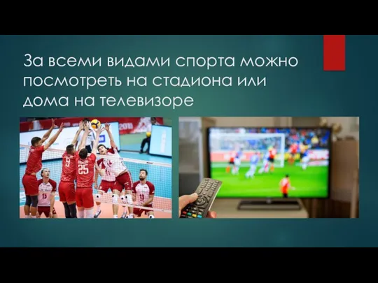 За всеми видами спорта можно посмотреть на стадиона или дома на телевизоре