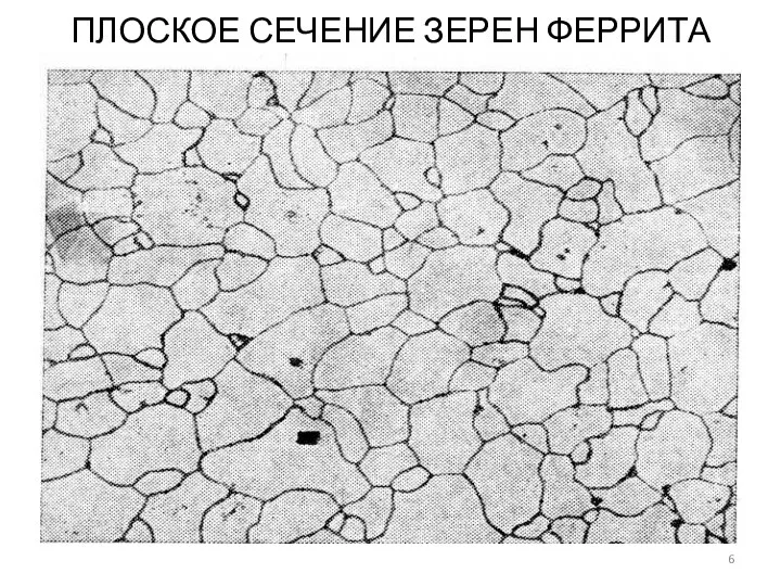 ПЛОСКОЕ СЕЧЕНИЕ ЗЕРЕН ФЕРРИТА