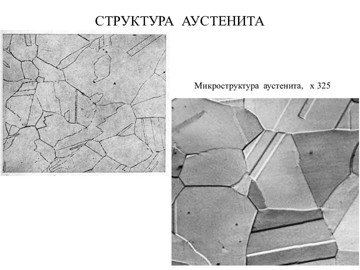 СТРУКТУРА АУСТЕНИТА Микроструктура аустенита, х 325