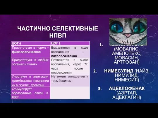 ЧАСТИЧНО СЕЛЕКТИВНЫЕ НПВП МЕЛОКСИКАМ (МОВАЛИС, АМЕЛОТЕКС, МОВАСИН, АРТРОЗАН) НИМЕСУЛИД (НАЙЗ. НИМУЛИД, НИМЕСИЛ) АЦЕКЛОФЕНАК (АЭРТАЛ, АЦЕКЛАГИН)