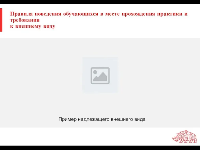 Правила поведения обучающихся в месте прохождения практики и требования к внешнему виду Пример надлежащего внешнего вида