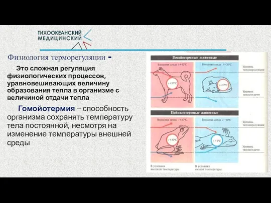 Физиология терморегуляции - Это сложная регуляция физиологических процессов, уравновешивающих величину образования