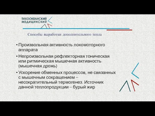 Способы выработки дополнительного тепла Произвольная активность локомоторного аппарата Непроизвольная рефлекторная тоническая