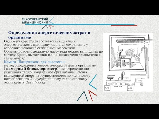 Определения энергетических затрат в организме Одним из критериев соответствия питания энергетическому