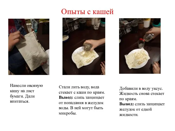 Опыты с кашей Нанесли овсяную кашу на лист бумаги. Дали впитаться.