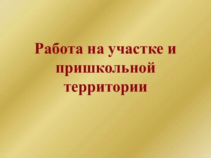 Работа на участке и пришкольной территории