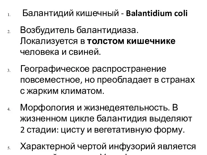 Балантидий кишечный - Balantidium coli Возбудитель балантидиаза. Локализуется в толстом кишечнике