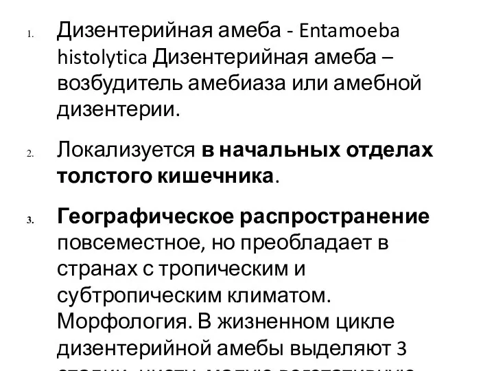 Дизентерийная амеба - Entamoeba histolytica Дизентерийная амеба – возбудитель амебиаза или