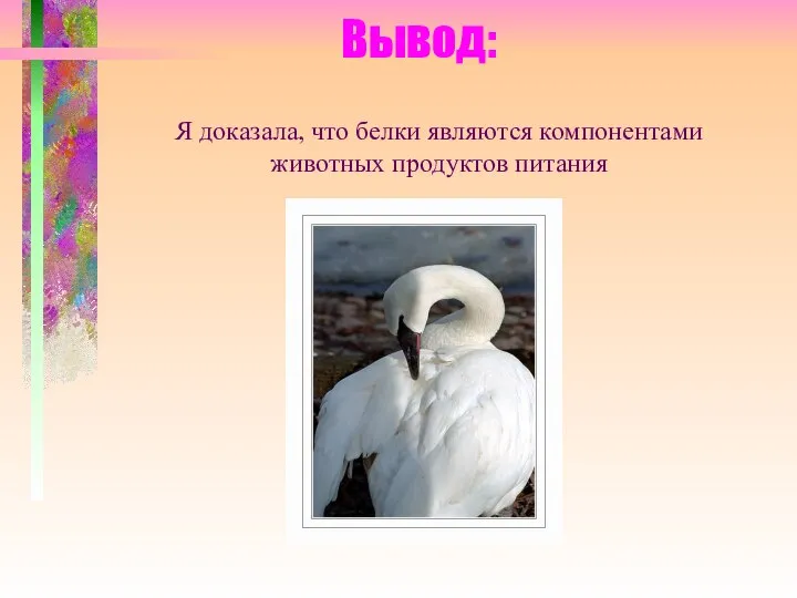 Вывод: Я доказала, что белки являются компонентами животных продуктов питания