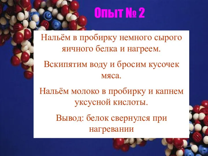 Опыт № 2 Нальём в пробирку немного сырого яичного белка и