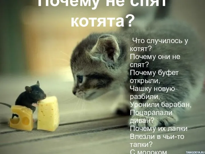 Почему не спят котята? Что случилось у котят? Почему они не