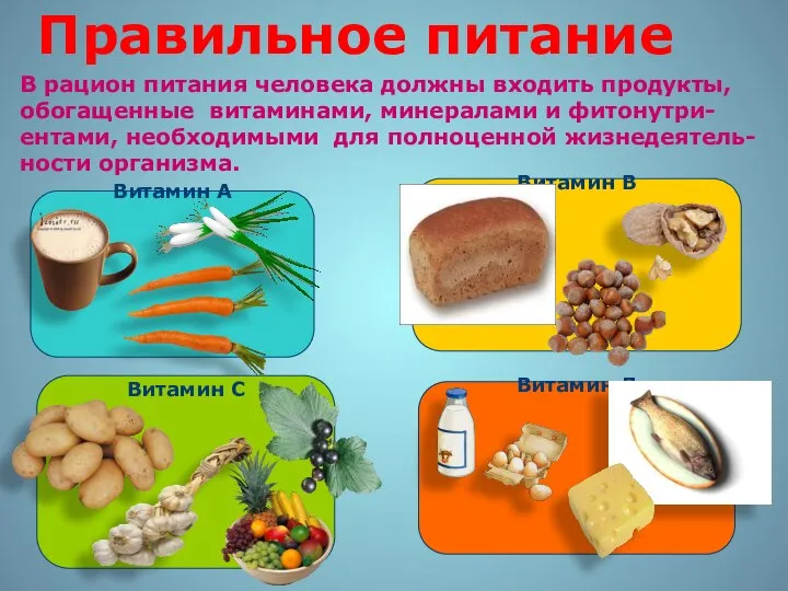 Правильное питание В рацион питания человека должны входить продукты, обогащенные витаминами,