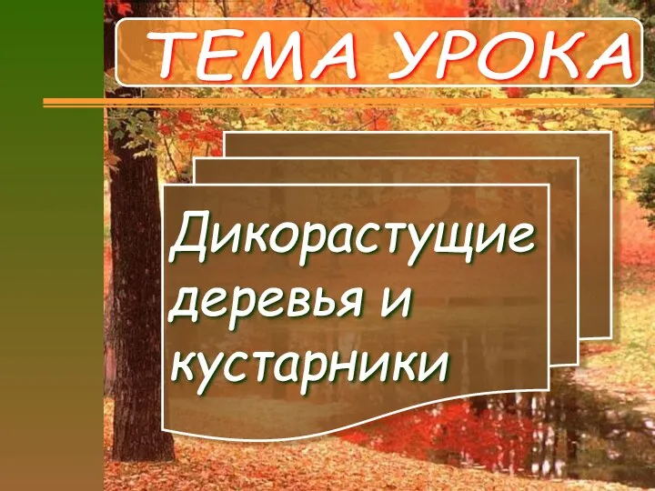 ТЕМА УРОКА Дикорастущие деревья и кустарники