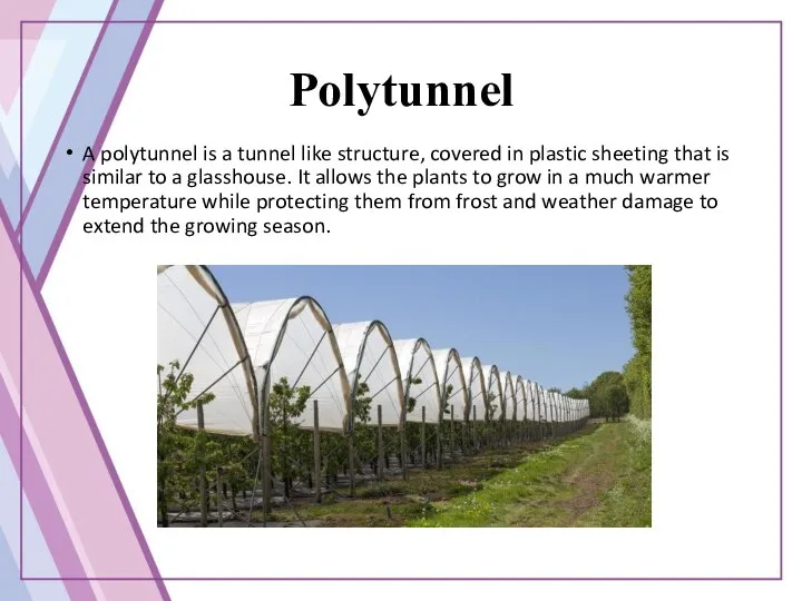 Polytunnel A polytunnel is a tunnel like structure, covered in plastic