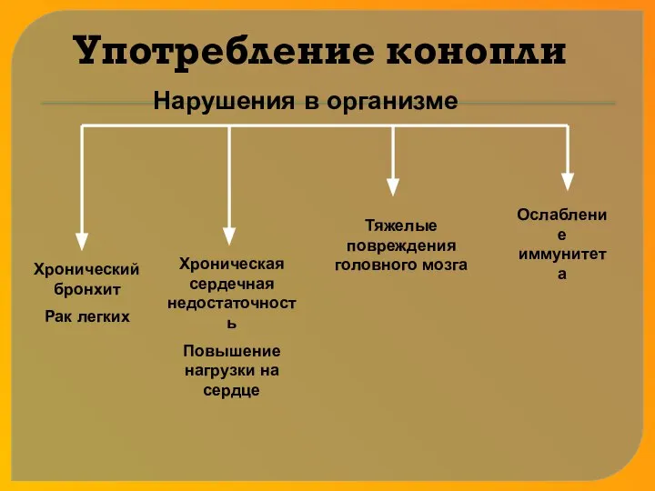 Употребление конопли Хронический бронхит Рак легких Хроническая сердечная недостаточность Повышение нагрузки