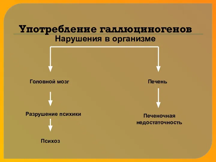 Употребление галлюциногенов Головной мозг Психоз Печень Печеночная недостаточность Разрушение психики Нарушения в организме