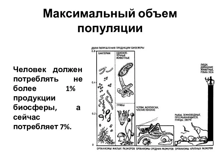 Максимальный объем популяции Человек должен потреблять не более 1% продукции биосферы, а сейчас потребляет 7%.