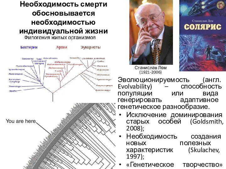 Необходимость смерти обосновывается необходимостью индивидуальной жизни Станислав Лем (1921-2006) Эволюционируемость (англ.