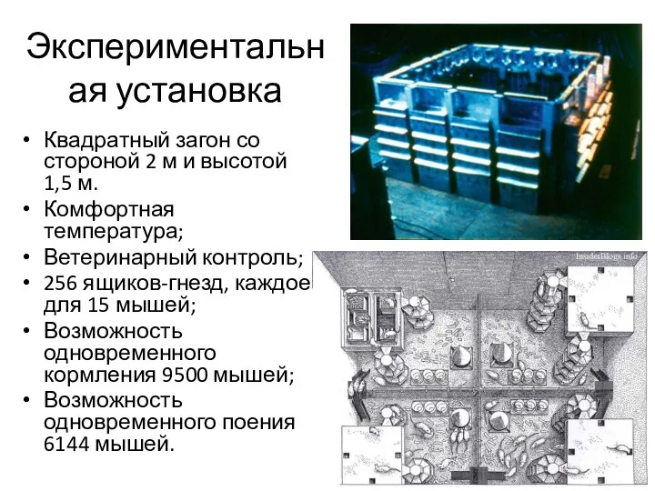 Экспериментальная установка Квадратный загон со стороной 2 м и высотой 1,5