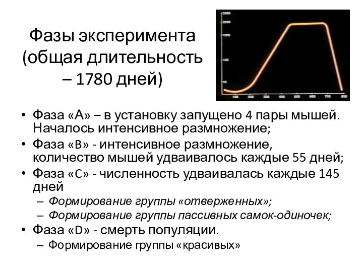 Фазы эксперимента (общая длительность – 1780 дней) Фаза «А» – в