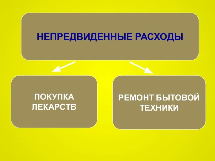 НЕПРЕДВИДЕННЫЕ РАСХОДЫ ПОКУПКА ЛЕКАРСТВ РЕМОНТ БЫТОВОЙ ТЕХНИКИ