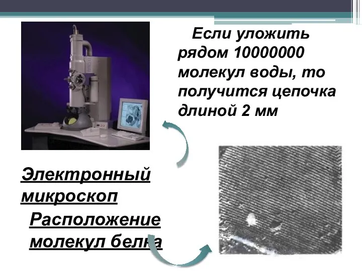 Электронный микроскоп Если уложить рядом 10000000 молекул воды, то получится цепочка