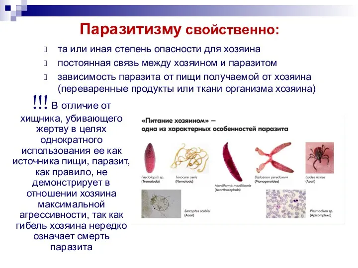 Паразитизму свойственно: та или иная степень опасности для хозяина постоянная связь