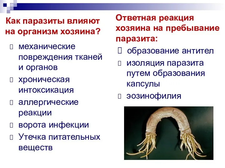 Как паразиты влияют на организм хозяина? механические повреждения тканей и органов