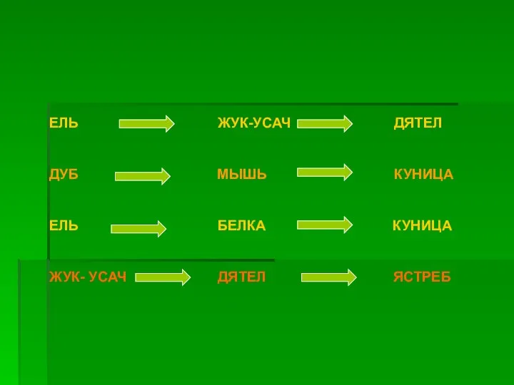 ЕЛЬ ЖУК-УСАЧ ДЯТЕЛ ДУБ МЫШЬ КУНИЦА ЕЛЬ БЕЛКА КУНИЦА ЖУК- УСАЧ ДЯТЕЛ ЯСТРЕБ