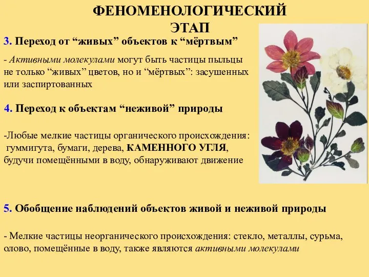 ФЕНОМЕНОЛОГИЧЕСКИЙ ЭТАП 3. Переход от “живых” объектов к “мёртвым” - Активными