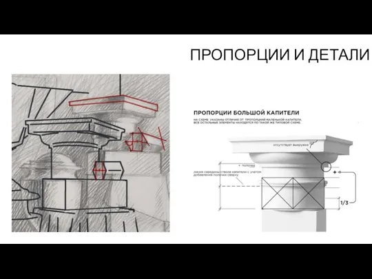 ПРОПОРЦИИ И ДЕТАЛИ