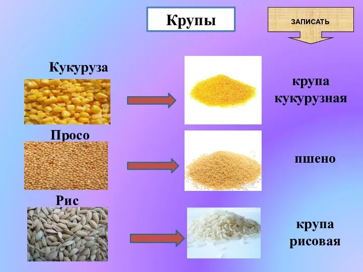 Крупы Кукуруза Рис Просо крупа кукурузная пшено крупа рисовая ЗАПИСАТЬ