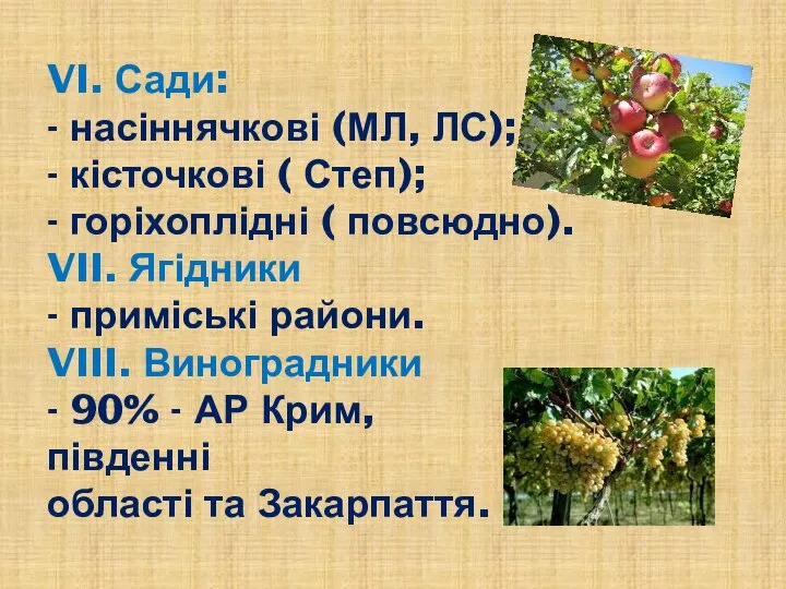 VI. Сади: - насіннячкові (МЛ, ЛС); - кісточкові ( Степ); -