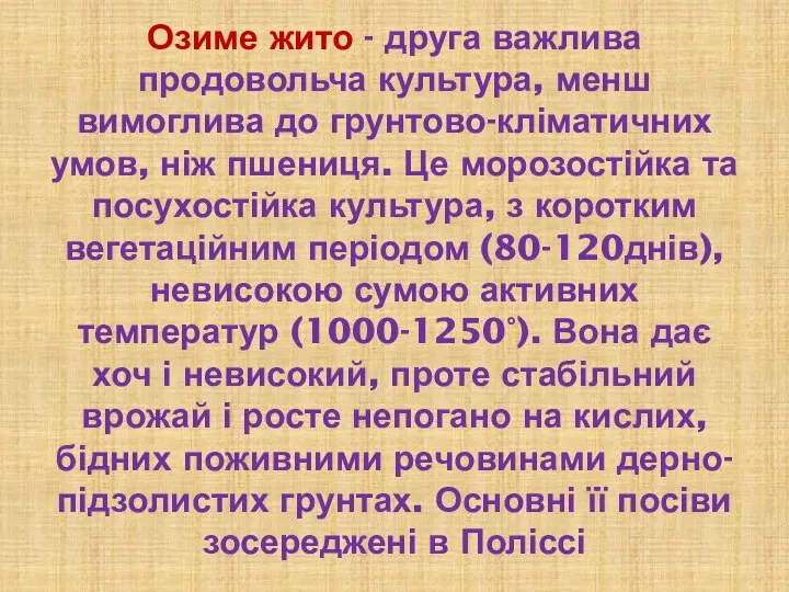 Озиме жито - друга важлива продовольча культура, менш вимоглива до грунтово-кліматичних