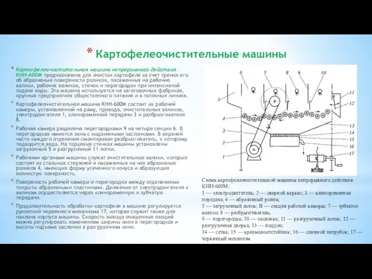 Картофелеочистительные машины Картофелеочистительная машина непрерывного действия КНН-600М предназначена для очистки картофеля